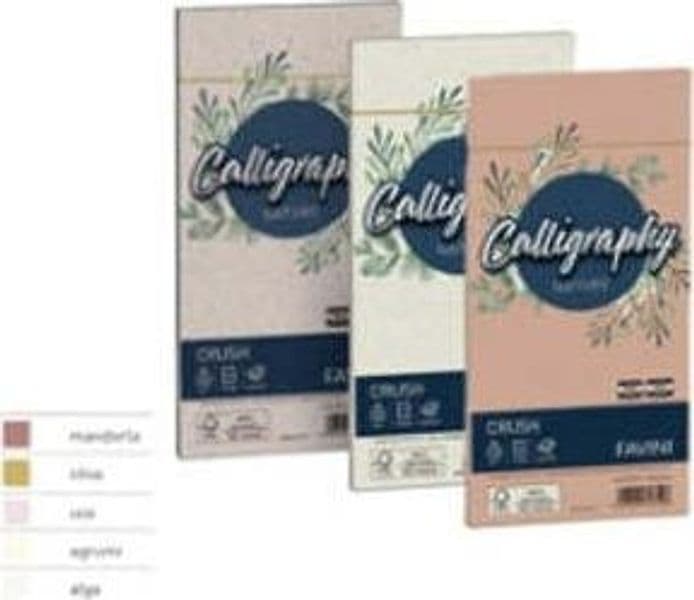 Busta Calligraphy Nature Crush - 110 x 220 mm - 90 gr - alga - Favini - conf. 25 pezzi Cancelleria e prodotti per ufficio/Carta blocchi e quaderni/Carta/Carta da lettere Eurocartuccia - Pavullo, Commerciovirtuoso.it