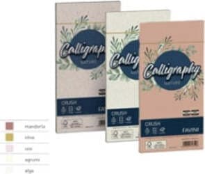 Busta Calligraphy Nature Crush - 110 x 220 mm - 90 gr - alga - Favini - conf. 25 pezzi Cancelleria e prodotti per ufficio/Carta blocchi e quaderni/Carta/Carta da lettere Eurocartuccia - Pavullo, Commerciovirtuoso.it
