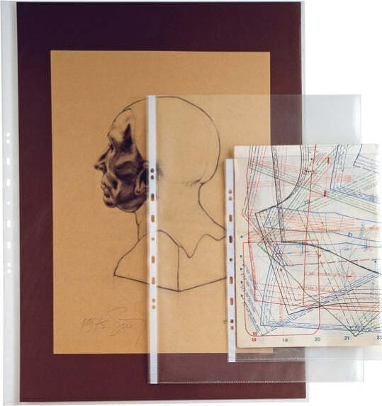 Buste forate Atla T - pesante - liscio - 50x70 cm - trasparente - Sei Rota - conf. 10 pezzi Cancelleria e prodotti per ufficio/Archivio ufficio e accessori per scrivania/Raccoglitori e accessori per raccoglitori/Buste a perforazione universale Eurocartuccia - Pavullo, Commerciovirtuoso.it