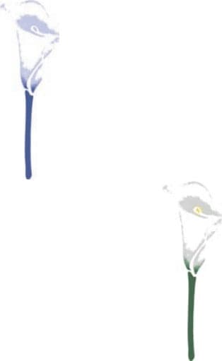 CALAMBOUR-COLLEZIONE-EASY---MASCHERINA-STENCIL-A4-21X29,7CM-CALLA-313