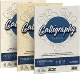 Carta Calligraphy Pergamena - A4 - 90 gr - naturale 06 - Favini - conf. 50 fogli Cancelleria e prodotti per ufficio/Carta blocchi e quaderni/Carta/Carta da lettere Eurocartuccia - Pavullo, Commerciovirtuoso.it
