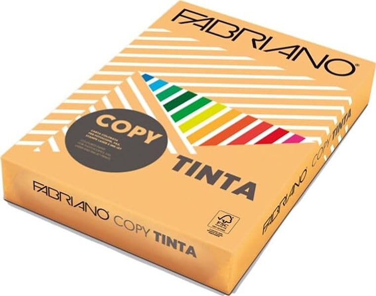 Carta Copy Tinta - A3 - 80 gr - colore tenue albicocca - Fabriano - conf. 250 fogli Casa e cucina/Hobby creativi/Carta e lavorazione della carta/Carta/Carta decorativa Eurocartuccia - Pavullo, Commerciovirtuoso.it