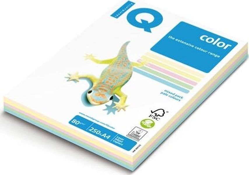 Carta IQ Color - A4 - 160 gr - mix 5 colori tenui RB01 - Mondi - conf. 100 fogli Casa e cucina/Hobby creativi/Carta e lavorazione della carta/Carta/Carta decorativa Eurocartuccia - Pavullo, Commerciovirtuoso.it