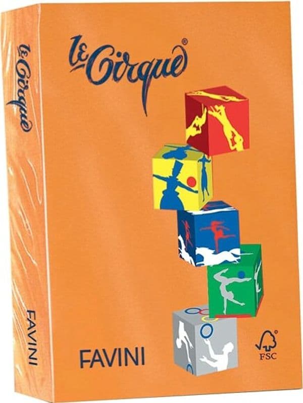 Carta Le Cirque - A4 - 160 gr - arancio 205 - Favini - conf. 250 fogli Casa e cucina/Hobby creativi/Carta e lavorazione della carta/Carta/Carta decorativa Eurocartuccia - Pavullo, Commerciovirtuoso.it