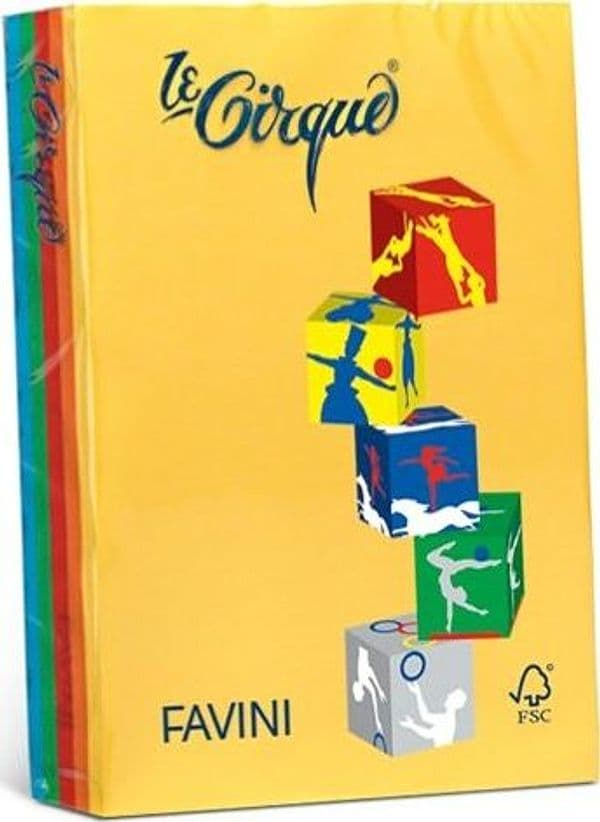 Carta Le Cirque - A4 - 160 gr - mix 5 colori intensi - Favini - conf. 250 fogli Casa e cucina/Hobby creativi/Carta e lavorazione della carta/Carta/Carta decorativa Eurocartuccia - Pavullo, Commerciovirtuoso.it