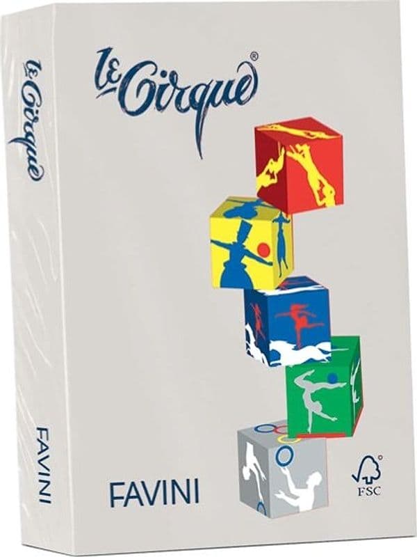 Carta Le Cirque - A4 - 80 gr - grigio pastello 109 - Favini - conf. 500 fogli Casa e cucina/Hobby creativi/Carta e lavorazione della carta/Carta/Carta decorativa Eurocartuccia - Pavullo, Commerciovirtuoso.it