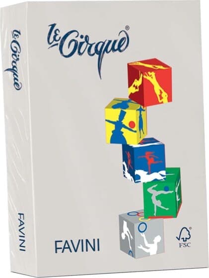Carta Le Cirque - A4 - 80 gr - grigio pastello 109 - Favini - conf. 500 fogli Casa e cucina/Hobby creativi/Carta e lavorazione della carta/Carta/Carta decorativa Eurocartuccia - Pavullo, Commerciovirtuoso.it
