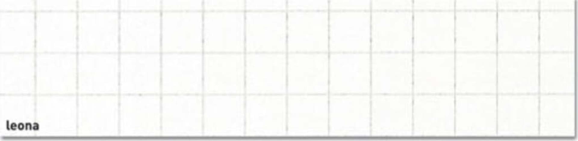 Carta leona - 70 x 100 cm - bianca - 10 mm ambo i lati - 120 gr - Favini - conf. 50 fogli Casa e cucina/Hobby creativi/Disegno/Blocchi e libri da disegno Eurocartuccia - Pavullo, Commerciovirtuoso.it