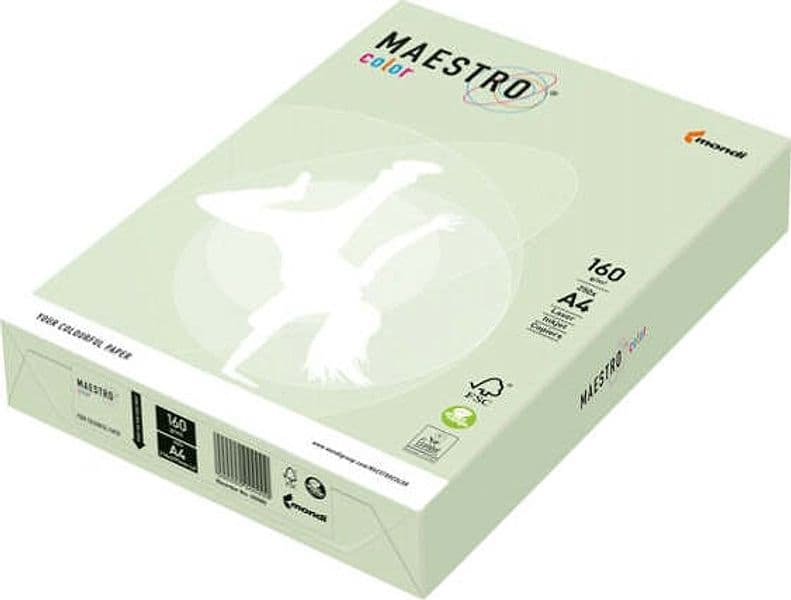 Carta Maestro Color - A4 - 160 gr - verde tenue GN27 - Mondi - conf. 250 fogli Casa e cucina/Hobby creativi/Carta e lavorazione della carta/Carta/Carta decorativa Eurocartuccia - Pavullo, Commerciovirtuoso.it