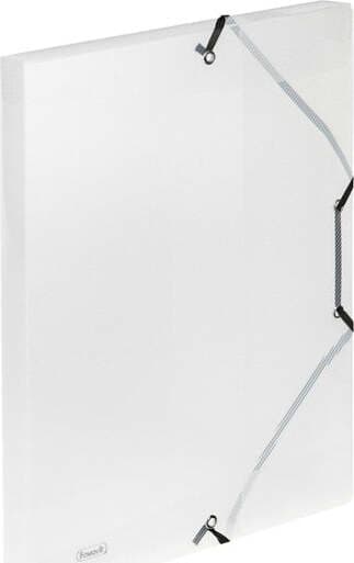 Cartella 3L con elastico Lumina - 24x32cm - trasparente - D 2 5 - Favorit Cancelleria e prodotti per ufficio/Archivio ufficio e accessori per scrivania/Archivio ufficio/Cartelle/Cartelle a soffietto espandibili Eurocartuccia - Pavullo, Commerciovirtuoso.it