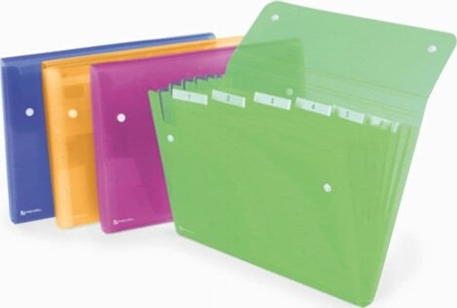 Cartella a soffietto Ice - 13 tasche - 22x30 cm - colori assortiti - Rexel Cancelleria e prodotti per ufficio/Archivio ufficio e accessori per scrivania/Archivio ufficio/Cartelle/Cartelle portadocumenti Eurocartuccia - Pavullo, Commerciovirtuoso.it