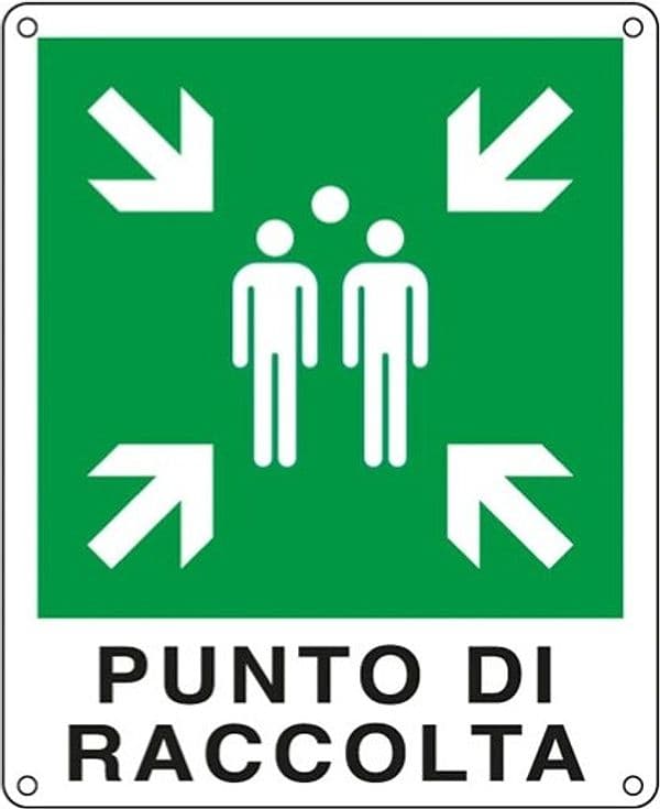 Cartello segnalatore - 25x31 cm - PUNTO DI RACCOLTA - alluminio - Cartelli Segnalatori Fai da te/Sicurezza e protezione/Attrezzature per sicurezza sul lavoro/Segnaletica antinfortunistica Eurocartuccia - Pavullo, Commerciovirtuoso.it