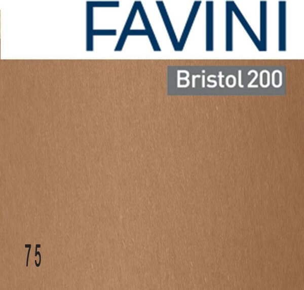 Cartoncino Bristol Color - 50 x70 cm - 200 gr - marrone 75 - Favini - conf. 25 pezzi Casa e cucina/Hobby creativi/Carta e lavorazione della carta/Carta/Cartoncino colorato Eurocartuccia - Pavullo, Commerciovirtuoso.it