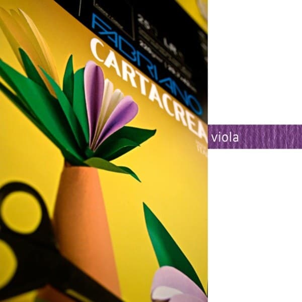 Cartoncino CartaCrea - 35x50cm - 220gr - viola - Fabriano - blister 10 fogli Casa e cucina/Hobby creativi/Carta e lavorazione della carta/Carta/Cartoncino colorato Eurocartuccia - Pavullo, Commerciovirtuoso.it
