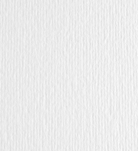 Cartoncino Elle Erre - 50x70cm - 220gr - bianco - Fabriano - blister 20 fogli Cancelleria e prodotti per ufficio/Carta blocchi e quaderni/Biglietti e cartoncini/Cartoncini Eurocartuccia - Pavullo, Commerciovirtuoso.it