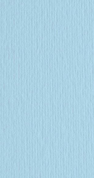 Cartoncino Elle Erre - 50x70cm - 220gr - celeste 118 - Fabriano - blister 20 fogli Casa e cucina/Hobby creativi/Carta e lavorazione della carta/Carta/Cartoncino colorato Eurocartuccia - Pavullo, Commerciovirtuoso.it