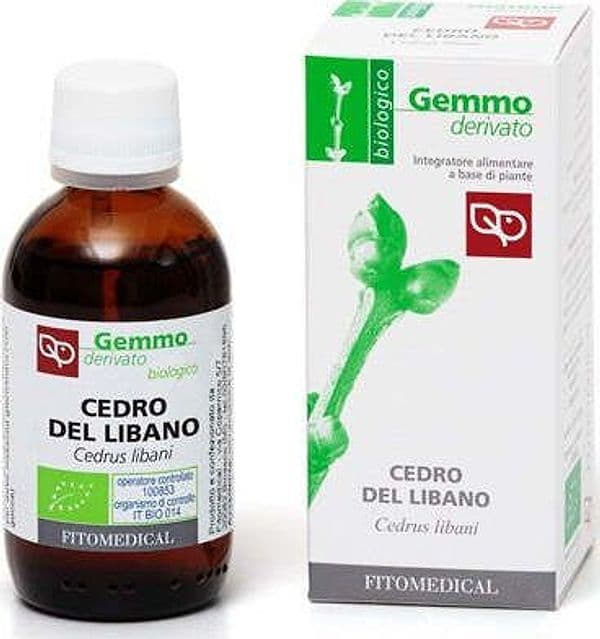 CEDRO-DEL-LIBANO-Macerato-Glicerinato-Bio-Gemme-50-ml-Fitomedical