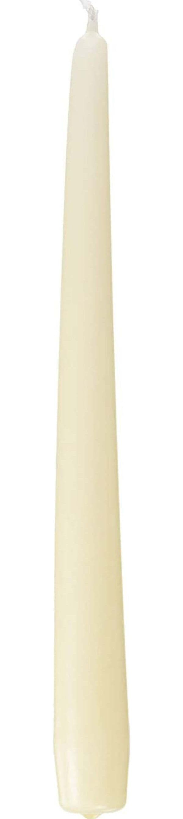 Cereria di Giorgio Risthò Candele Coniche per Candeliere, Cera, Avorio, 2.2 x 25 cm, 10 unità Casa e cucina/Decorazioni per interni/Candele e portacandele/Candele/Affusolate Scontolo.net - Potenza, Commerciovirtuoso.it