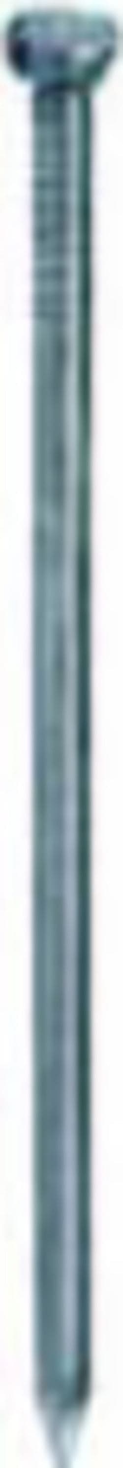 CHIODI-TESTA-BOMBATA-INOX-1,6X25-GR-25