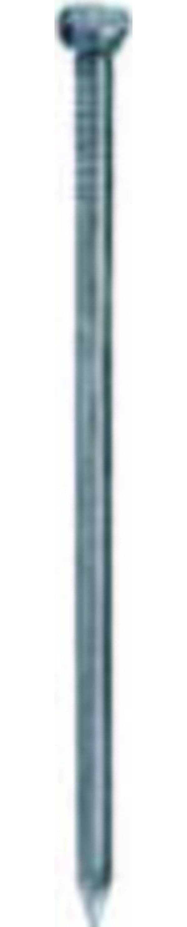 CHIODI-TESTA-BOMBATA-INOX-2,8X50-GR-25