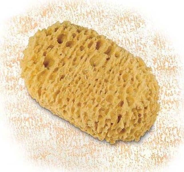 CINGHIALE---SPUGNONE-PER-EFFETTO-SPUGNATO-CM-16x10