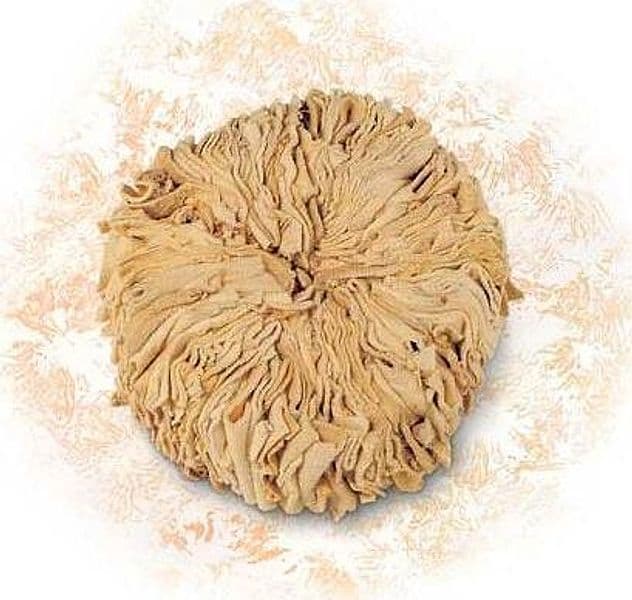 CINGHIALE---TAMPONE-A-FIORE-PER-EFFETTO-SPATOLATO
