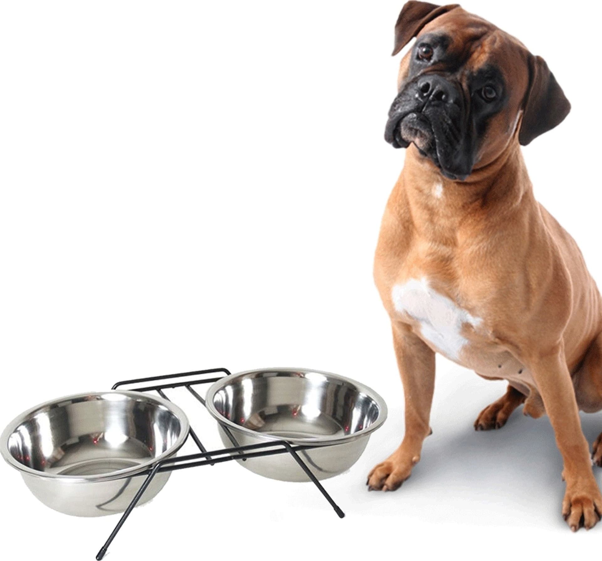 Ciotola Doppia Rialzata Per Cani 2 Per 22cm Con Supporto Cibo Acqua In Metallo Prodotti per animali domestici/Cani/Ciotole e distributori/Ciotole Trade Shop italia - Napoli, Commerciovirtuoso.it