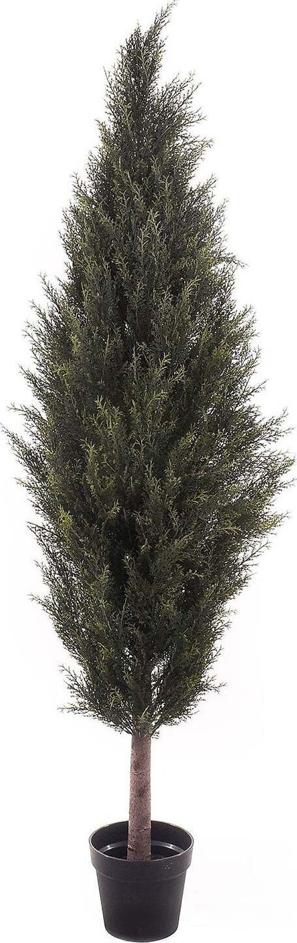 Cipresso C/vaso 137 Cm Giardino e giardinaggio/Piante semi e bulbi/Piante da interno/Alberi Loft Uno di Casa - Catania, Commerciovirtuoso.it