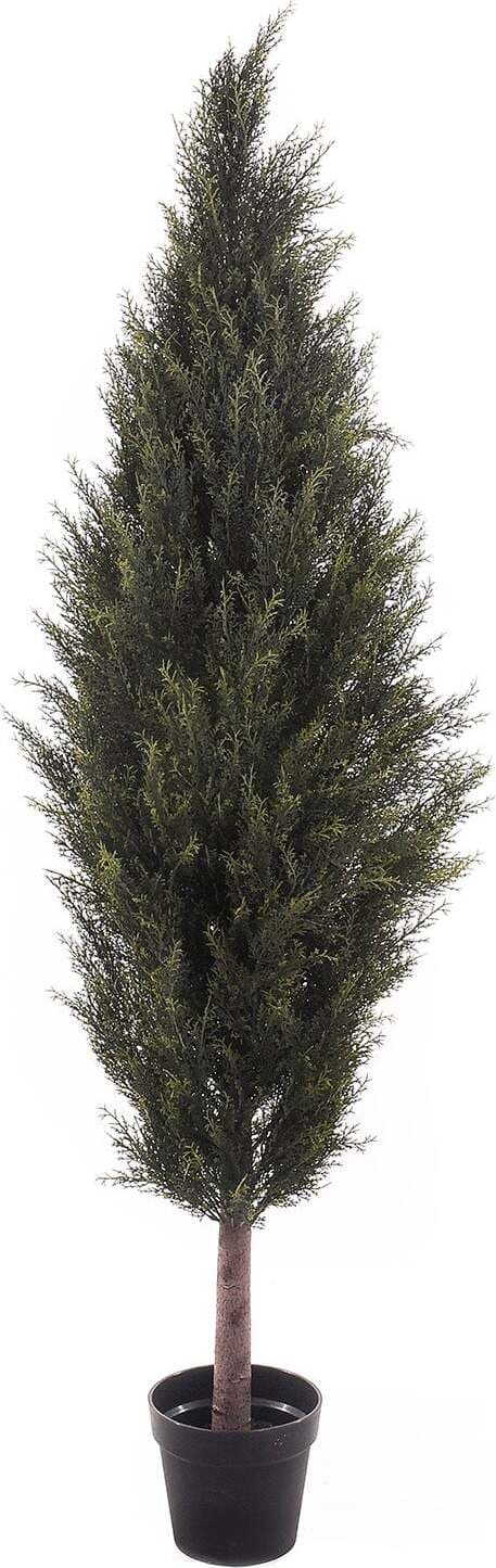 Cipresso C/vaso 137 Cm Giardino e giardinaggio/Piante semi e bulbi/Piante da interno/Alberi Loft Uno di Casa - Catania, Commerciovirtuoso.it