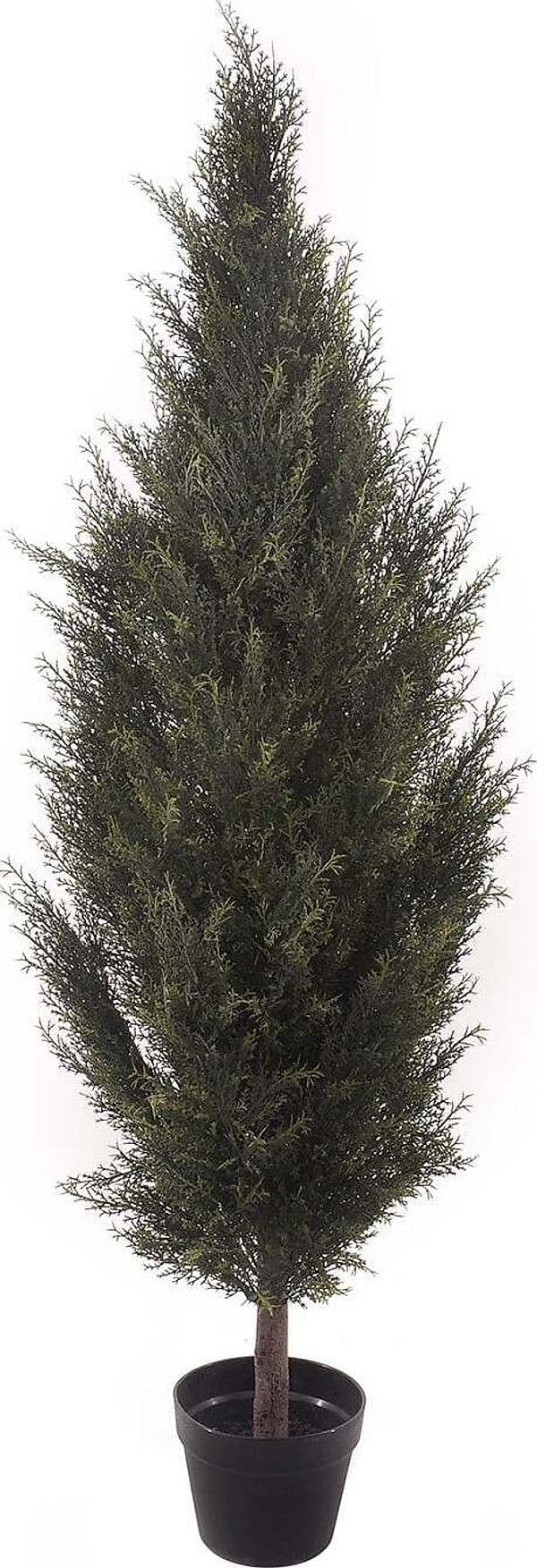 Cipresso C/vaso 167 Cm Bianchi Dino Giardino e giardinaggio/Piante semi e bulbi/Piante da interno/Alberi Loft Uno di Casa - Catania, Commerciovirtuoso.it