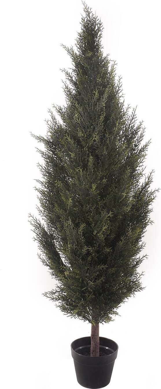 Cipresso C/vaso 167 Cm Bianchi Dino Giardino e giardinaggio/Piante semi e bulbi/Piante da interno/Alberi Loft Uno di Casa - Catania, Commerciovirtuoso.it