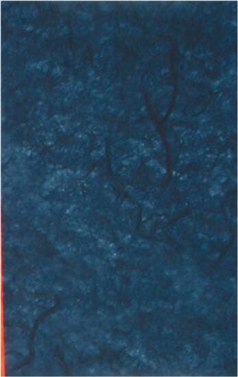 CLAIREFONTAINE---CARTA-DI-RISO---1-FOGLIO-65X95CM---COLORE-BLU