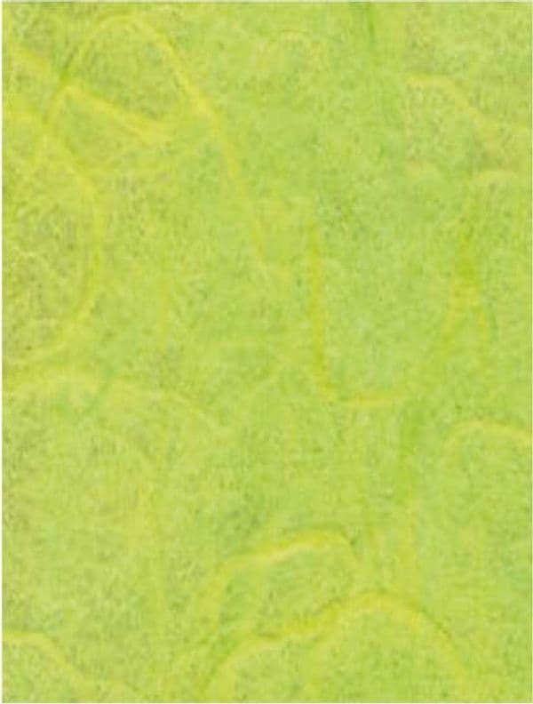 CLAIREFONTAINE---CARTA-DI-RISO---1-FOGLIO-65X95CM---COLORE-VERDE-MELA