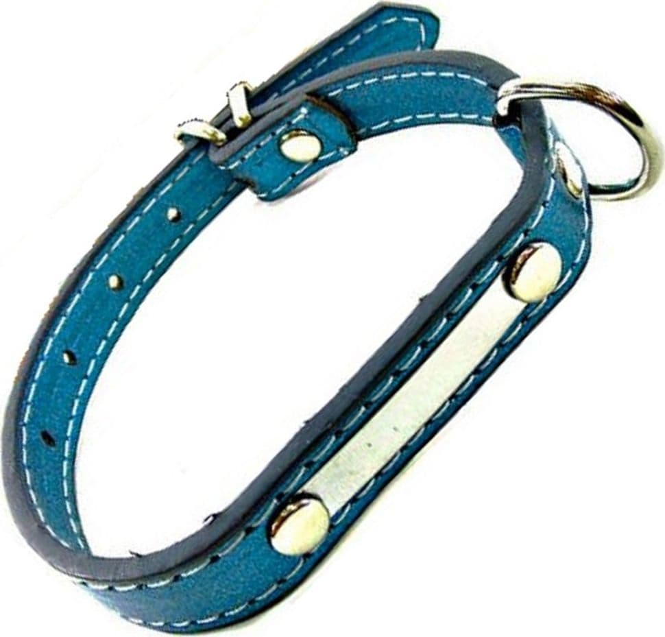 Collare Per Cane In Cuoio Con Decorazioni Chiusura A Cinta 34x2 Cm Vari Colori Prodotti per animali > Prodotti per Cani > Collari Trade Shop italia - Napoli, Commerciovirtuoso.it