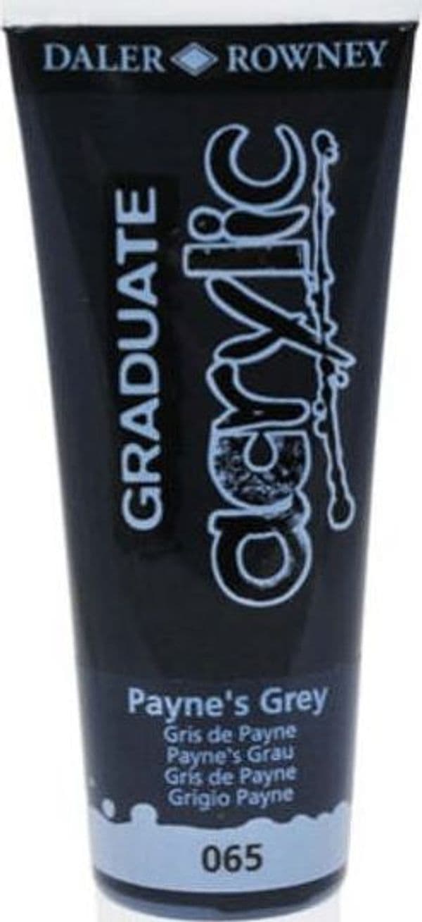 Colore acrilico fine Graduate - 120 ml - grigio payne - Daler Rowney Giochi e giocattoli/Attività creative/Accessori per disegnare e colorare/Pittura/Acquarelli Eurocartuccia - Pavullo, Commerciovirtuoso.it