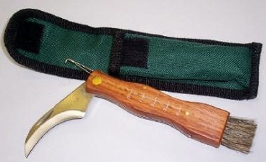 Coltellino per Funghi Con Custodia Da Cinta 13 X 2cm Coltellino Funghi Pieghevole Coltellino a Serramanico per Raccogliere Funghi e Tartufi Sport e tempo libero/Attività ricreative all'aperto/Camping e outdoor/Coltelli e attrezzi/Coltelli a serramanico Il Distintivo - Pesaro, Commerciovirtuoso.it