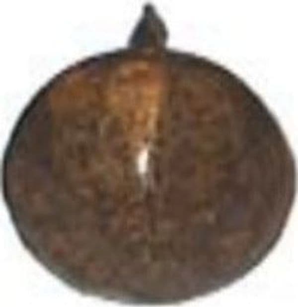CONDY---100-BULLETTE-SFACCETTATE-FINITURA-ORO-ANTICATO-D-9,5