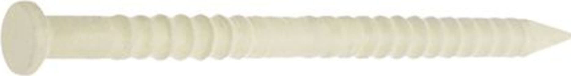 CONDY---60gr-DI-CHIODI-ZIGRINATI-BEIGE-1,8X38