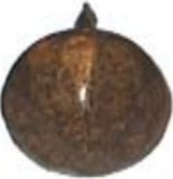 CONDY---70-BULLETTE-SFACCETTATE-FINITURA-ORO-ANTICATO-D-10,5MM