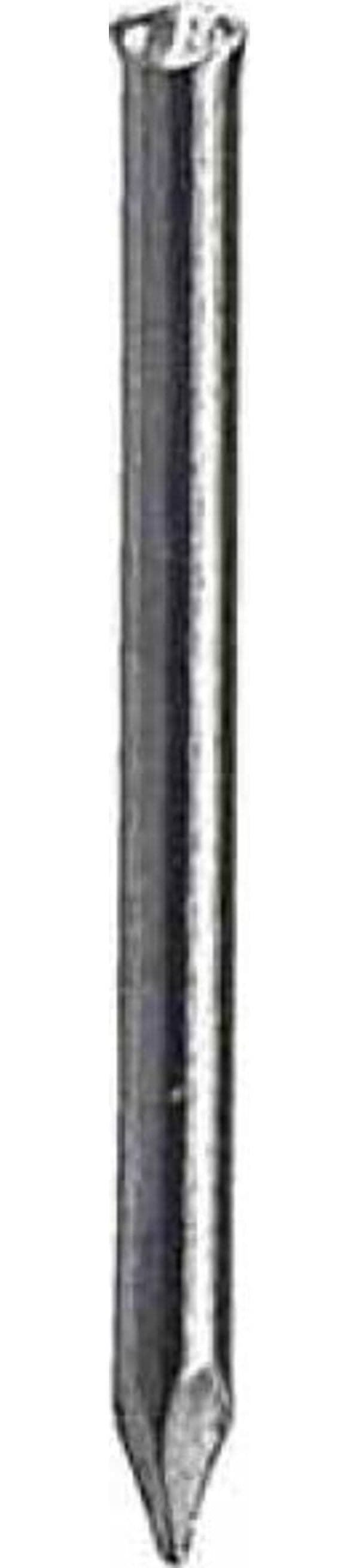 CONDY---80gr---CHIODI-SENZA-TESTA-1,3X18MM