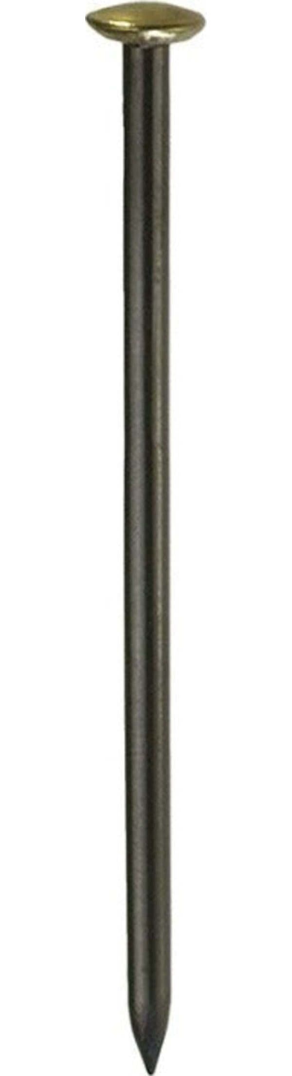 CONNEX---10-CHIODI-IN-ACCIAIO-CON-TESTA-RIVESTITA-IN-OTTONE-2,5X40-BLU