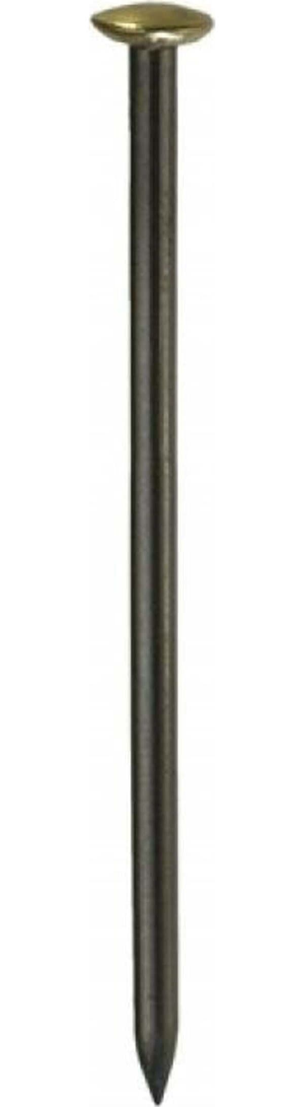 CONNEX---10-CHIODI-IN-ACCIAIO-CON-TESTA-RIVESTITA-IN-OTTONE-2,5X50MM-BLU