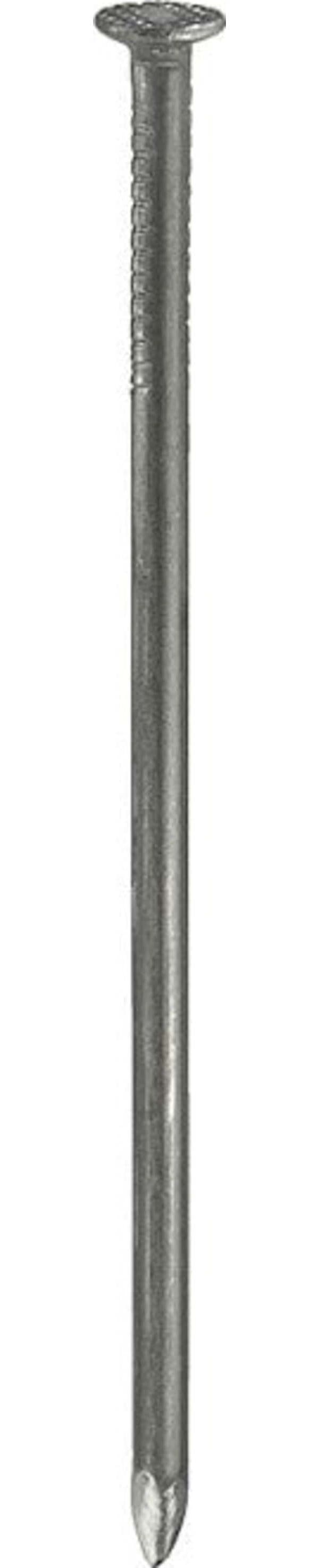 CONNEX---CHIODI-TESTA-PIANA-2,5X55-LUCIDI-160GR