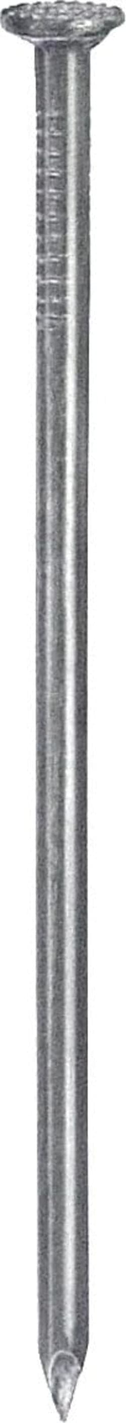 CONNEX---CHIODI-TESTA-PIANA-ZINCATI-mm-2,5X55-GR.160