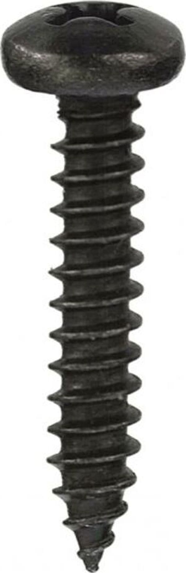 CONNEX---VITI-AUTOFILETTANTI-TESTA-CILINDRICA-NERE---PZ.18---4,8X19-MM.