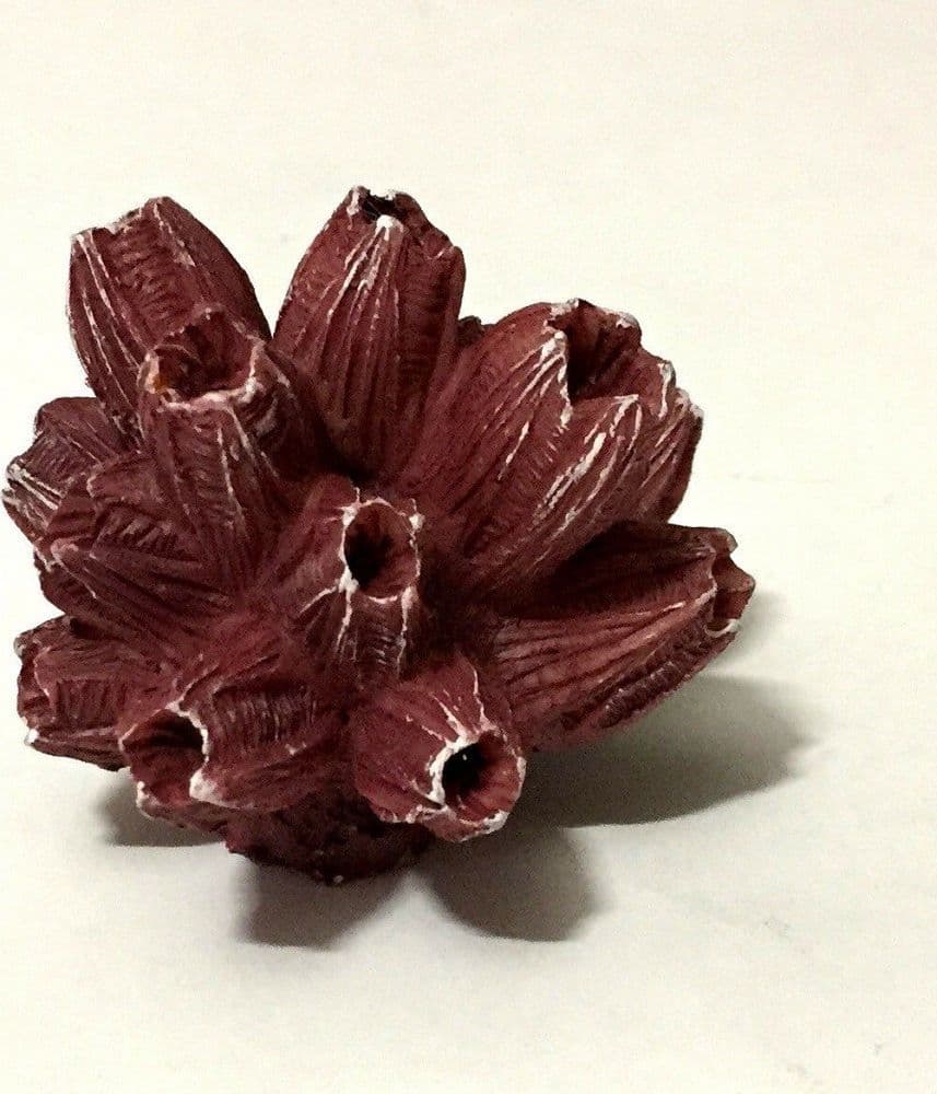 Corallo Finto In Resina 5 Cm Artificiale Per Decorazioni Acquario Addobbi Prodotti per animali > Prodotti per Acquari > Decorazioni Acquario Trade Shop italia - Napoli, Commerciovirtuoso.it