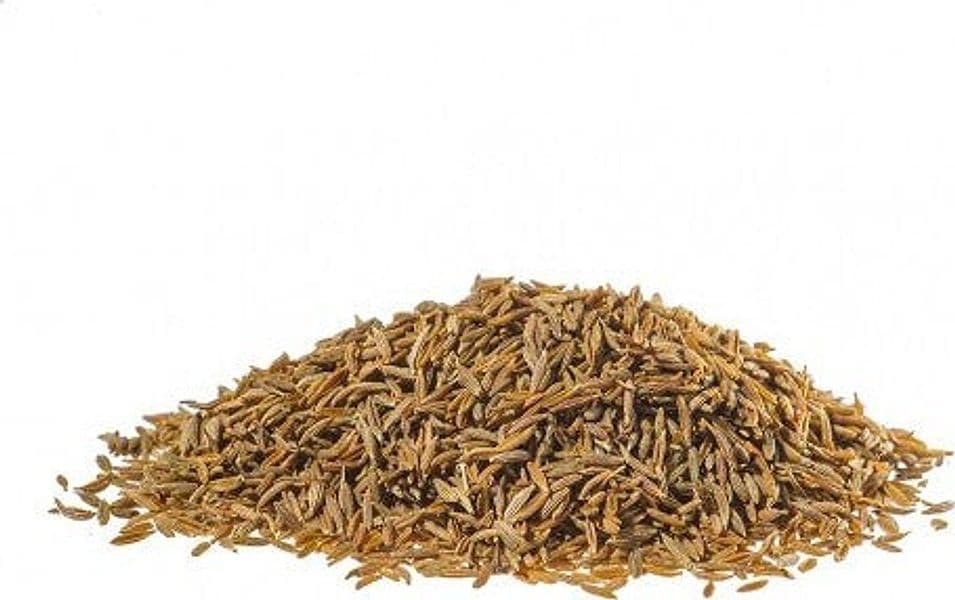 CUMINO-DI-MALTA-Frutti-1-kg-Biokyma