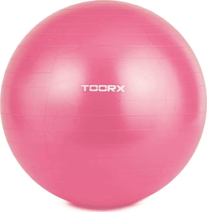 Toorx Palla da Ginnastica Antiscoppio 55 cm fucsia con pompa inclusa in Autocategorizzazione Più Di Più Ideas - Casalnuovo di Napoli, commercioVirtuoso.it