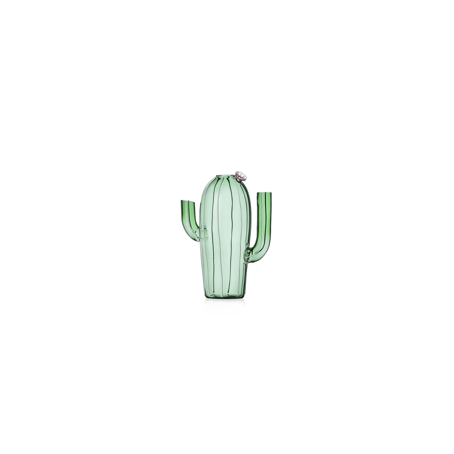 Ichendorf Brocca in vetro borosilicato a forma di cactus verde in Brocche Più Di Più Ideas - Casalnuovo di Napoli, commercioVirtuoso.it