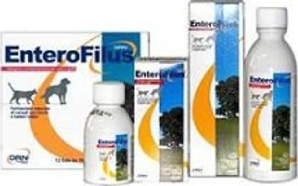 ENTEROFILUS MANGIME SEMPLICE 250 ML